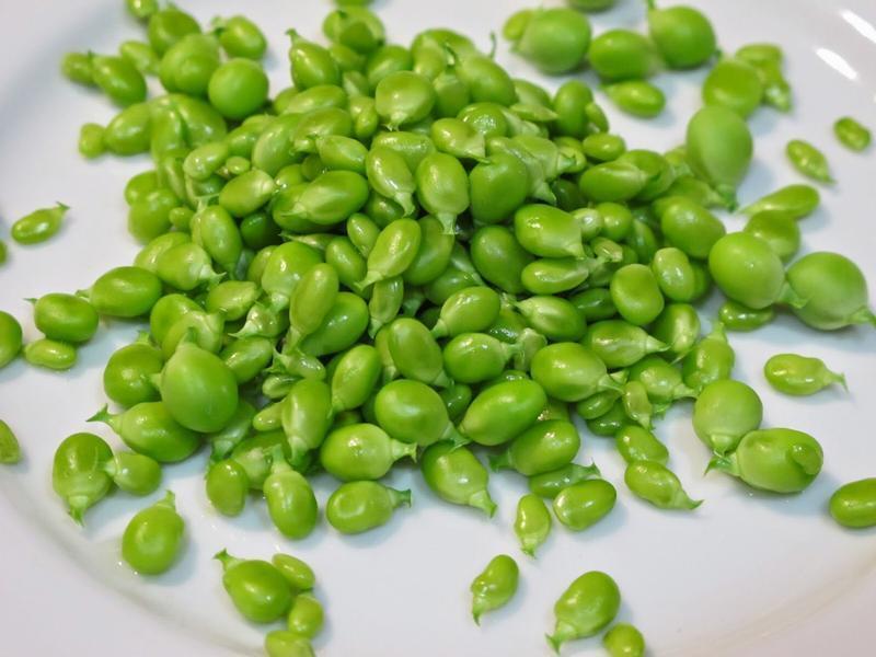 �������β�����㶹�ʵ�����