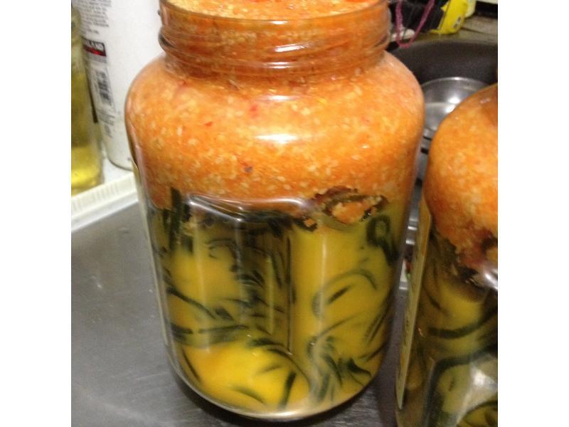 �������衿�����������ƽ𺣴�����������