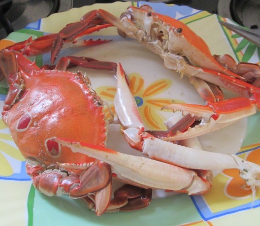 ˮ���з��Ӧ���Ǻ�з�ɵ�����