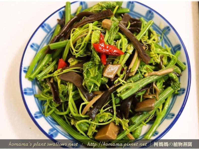 ��ľ����������ˣ�������