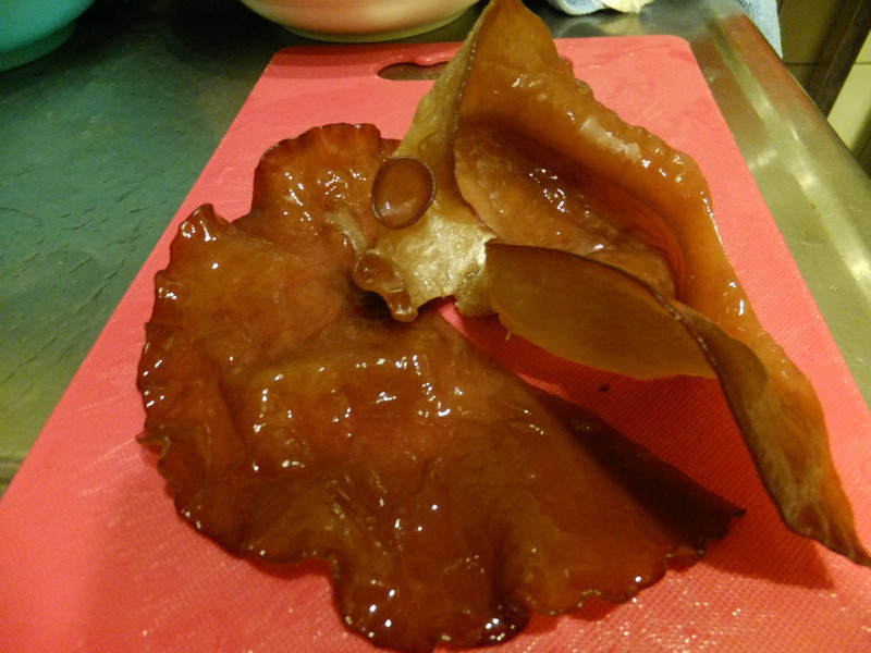 ��ʳ΢����θ�ˡ���ʳ���������ֿ��ݲ���ʳ�׵�����