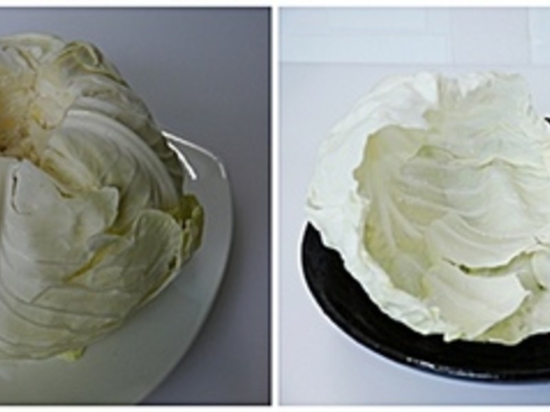 ��ʳ�����˸���������