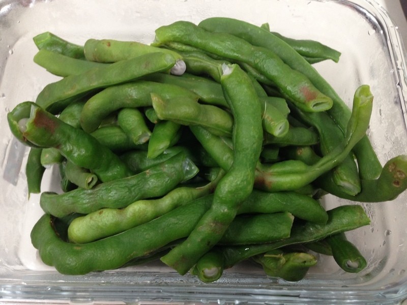 [��ը��] ţ��ެ��������������