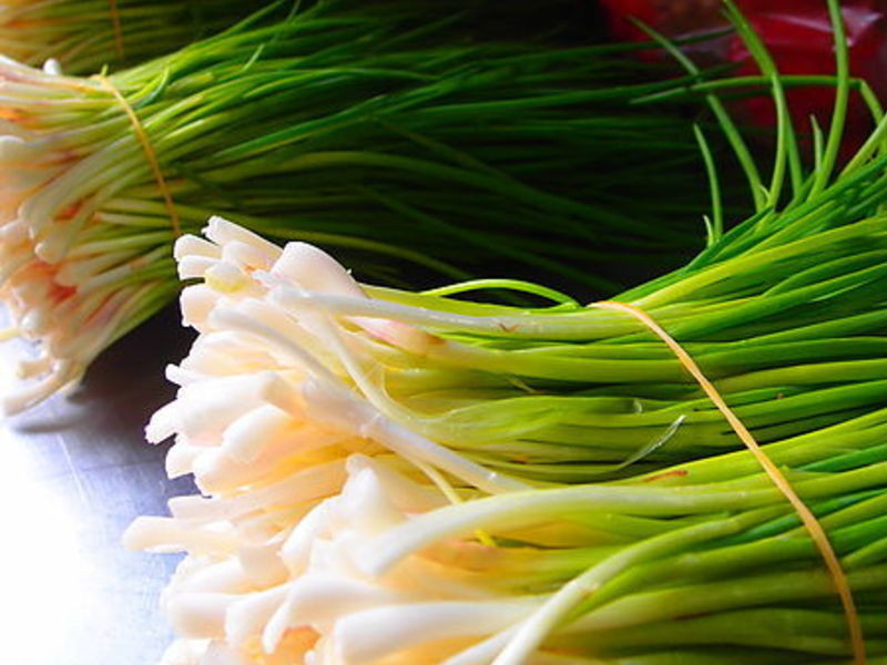 ��г���������