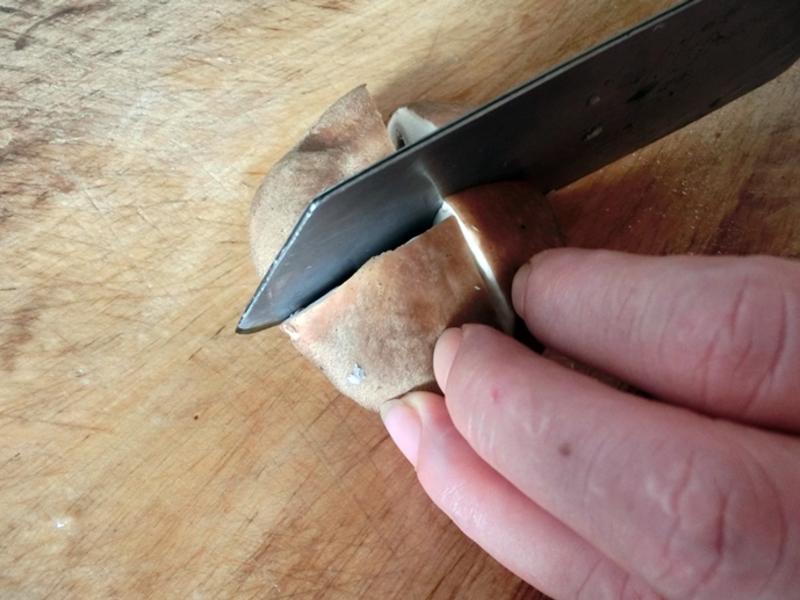 ���￾��ر�������Ұ��X�������ֵܴ���~������