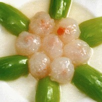 ����ѩ�������