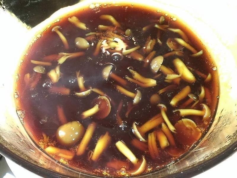 ��ʽ��������������������