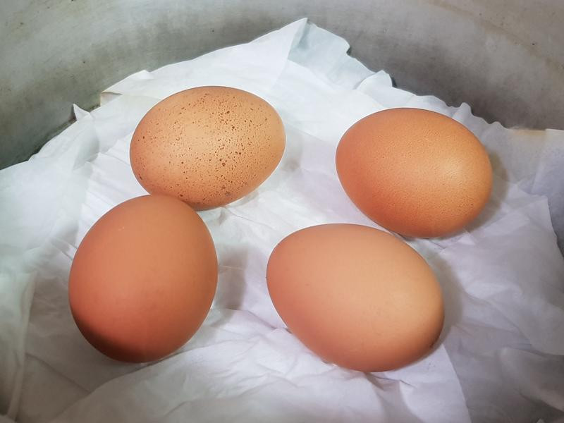 ����ζ³����&���������