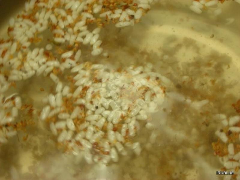 �𻨵��������С��Բ������