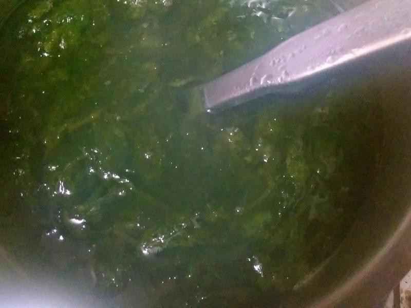 ����ʭĿ������������