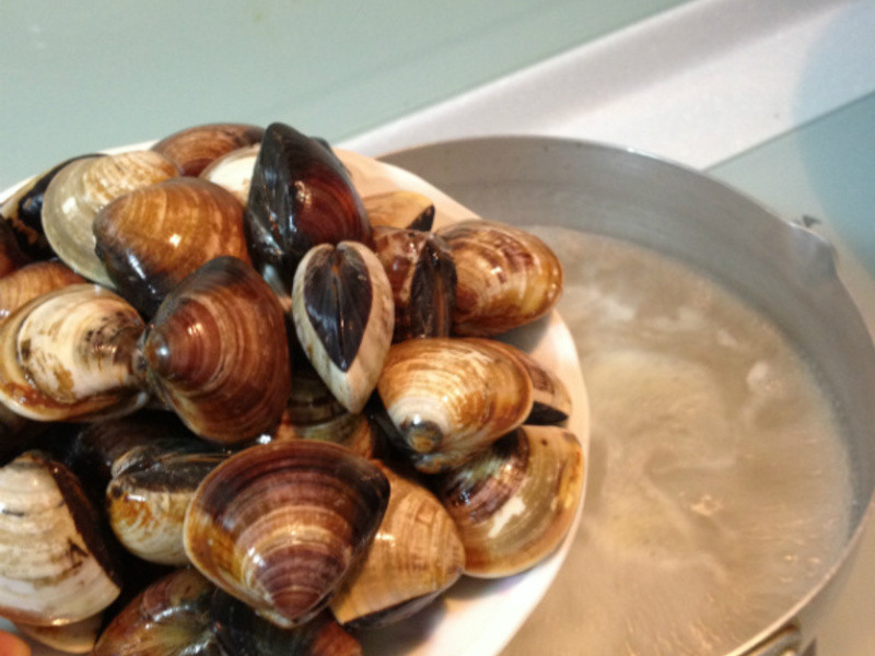 ����Ʒ���������۽�˿��ݫ��������