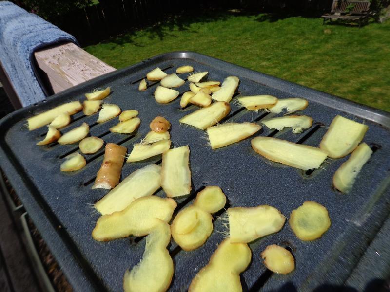 ��ȾͿ��漴���ݵĺ��ǽ���(�����ƽ���)������