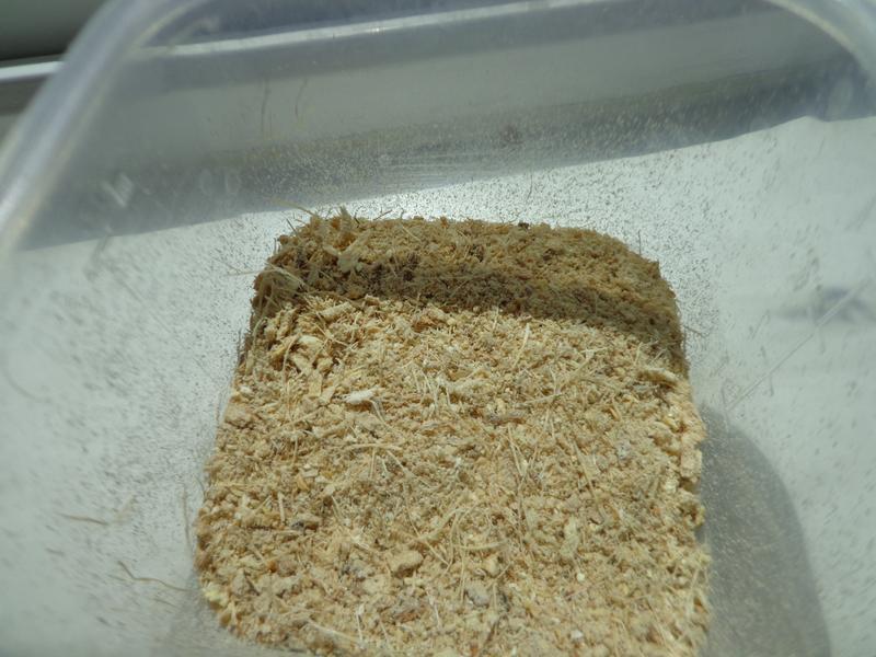 ��ȾͿ��漴���ݵĺ��ǽ���(�����ƽ���)������