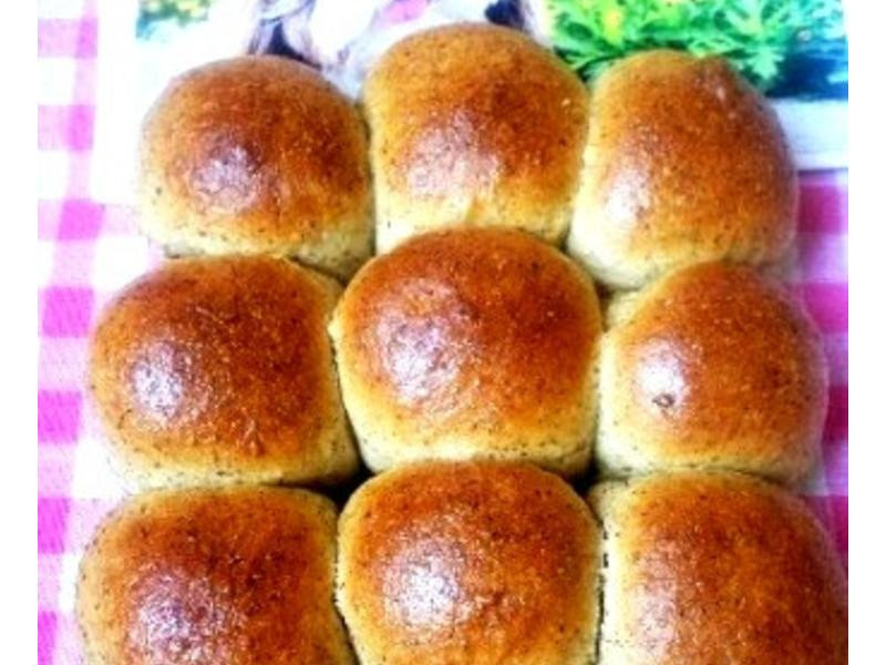 �������������ͲͰ�������