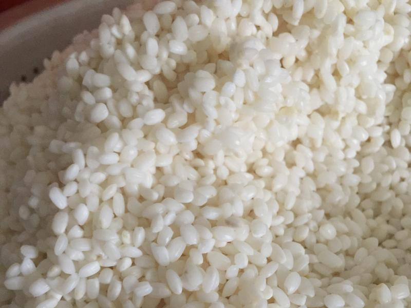 ������ʨ��ͷ������