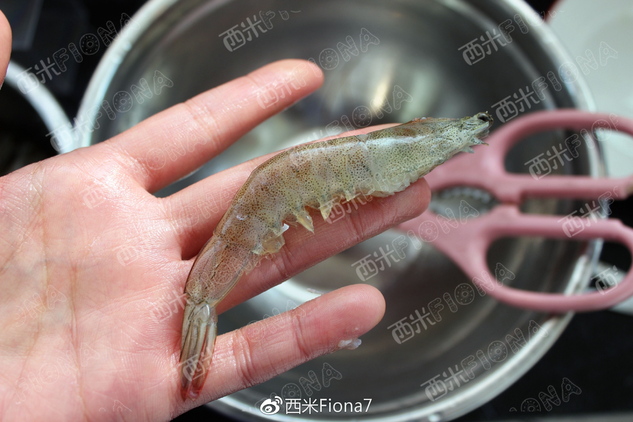 �����ζ���ο�Ϻ������