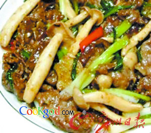 XO���˷�ţ������