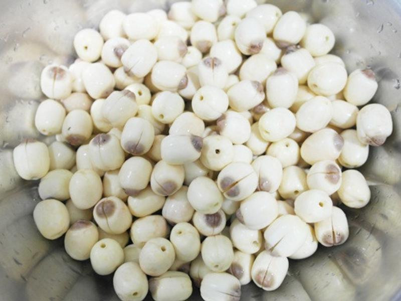 ���������� - ����������������