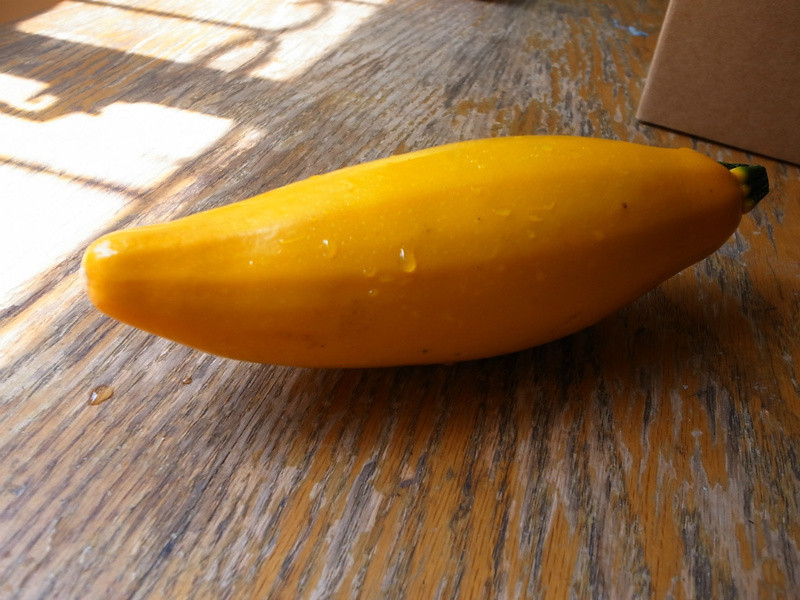 �ƽ��ը�ڹϵ�����