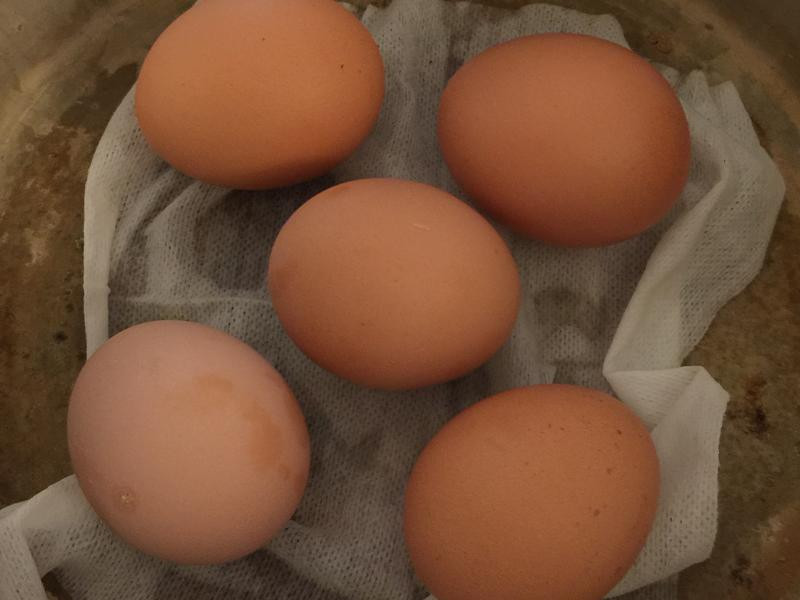 ��ͬ�����ˮ�󵰵�����