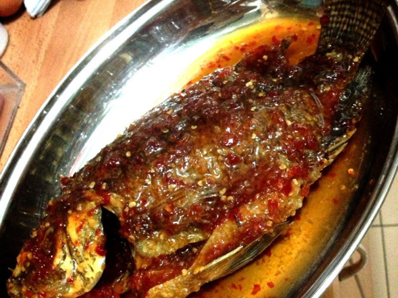 [RainiePL��]̩ʽ����㣨����������