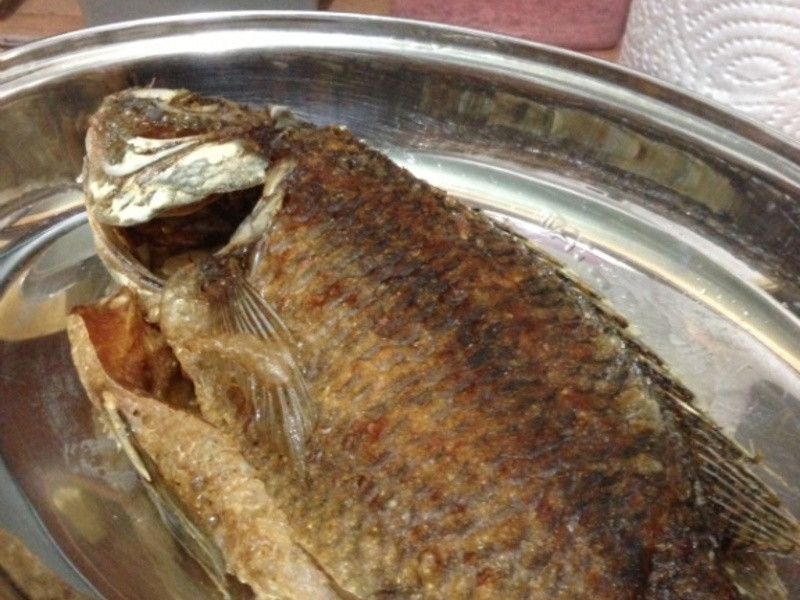 [RainiePL��]̩ʽ����㣨����������