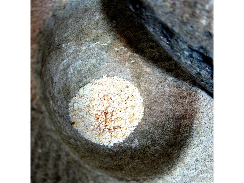 ̩ʽ�����ٲ�ţ��ɳ��������