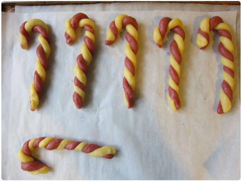 ʥ�����ı��� - ����Shania������