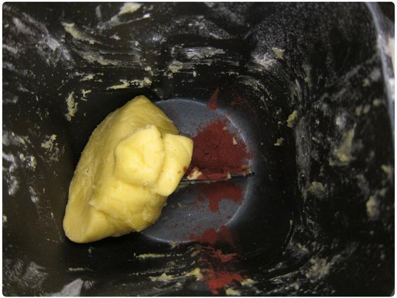 ʥ�����ı��� - ����Shania������