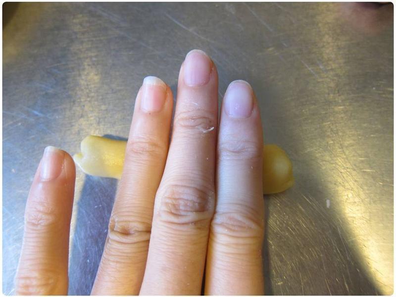 ʥ�����ı��� - ����Shania������