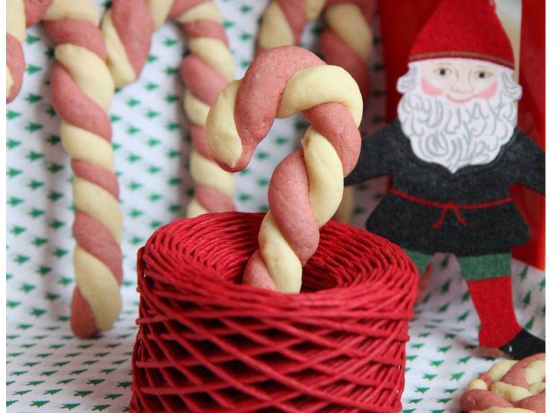 ʥ�����ı��� - ����Shania������