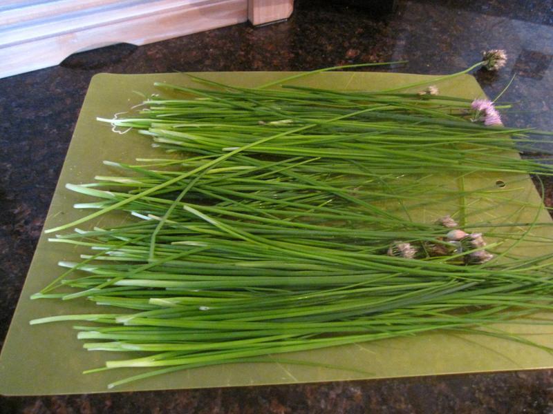 ϸ����������͵�����