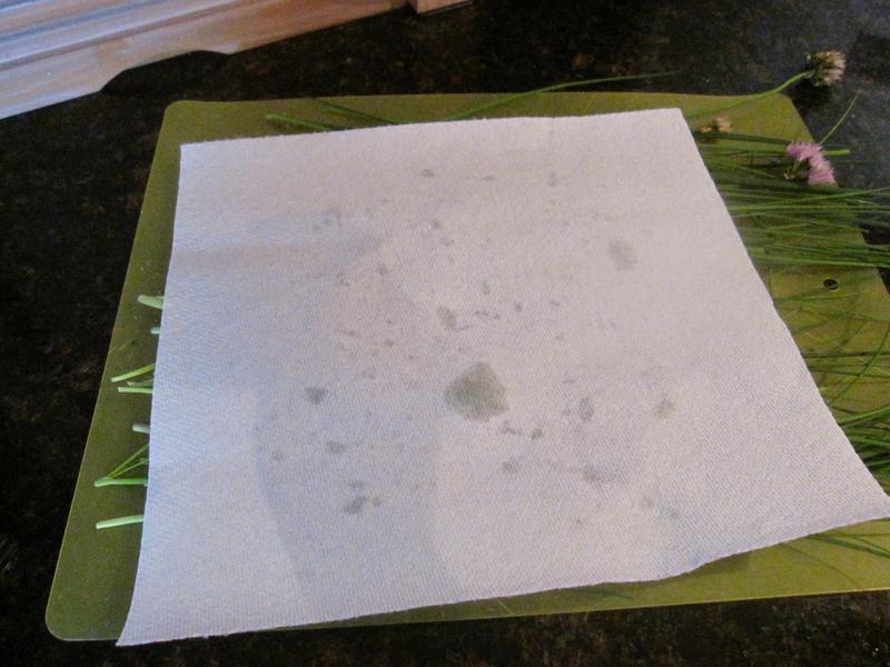 ϸ����������͵�����