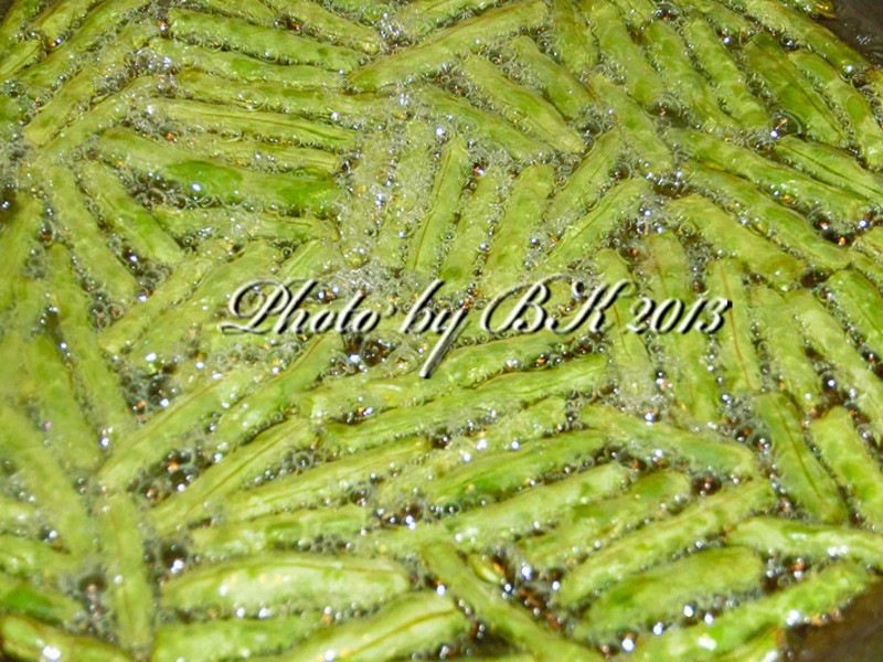 ����֥ʿ�ļ���������