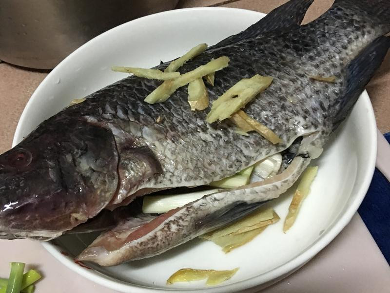 ��������������