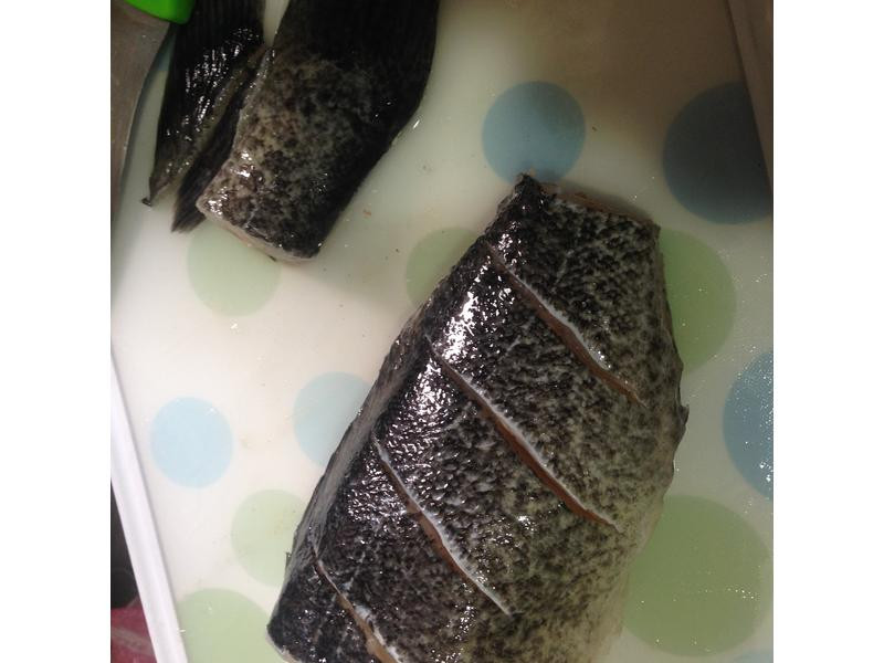 ��������ī�����������