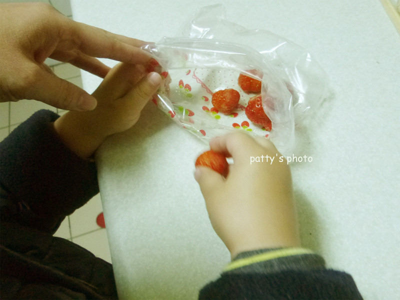 ��ݮ���̱���ܡ���ݮ�Ͱ�ӥ�����̵�����