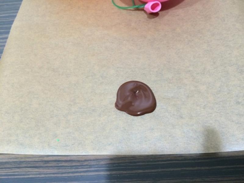 ѩ�������ɿ���ʥ��������