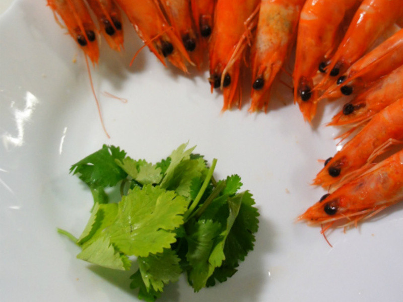 [����]̩ζ������Ϻ��������