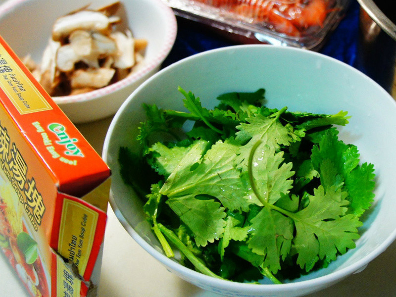 [����]̩ζ������Ϻ��������