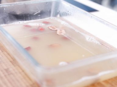 ľ����ݻ����漦��������