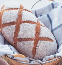 ����������������