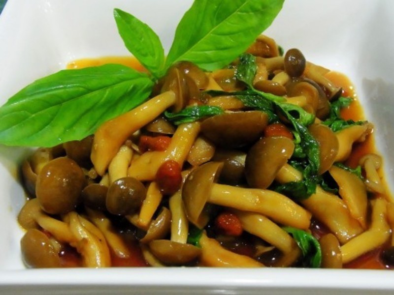 ���ù�����idea��С����ů�ļҵ�����