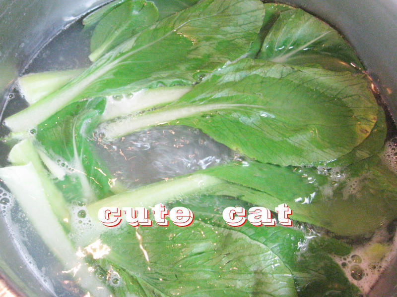 �۽����������