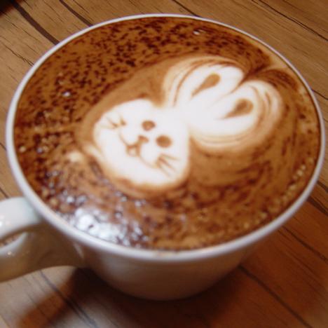 ��ͨ���ȵ�����