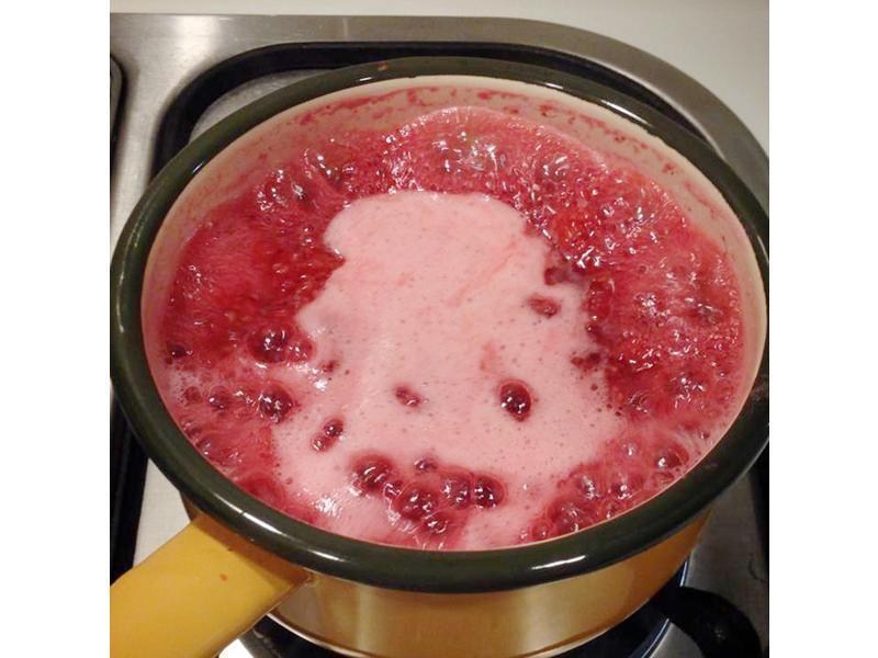 ViVi - ����ݮ�����Ÿ������