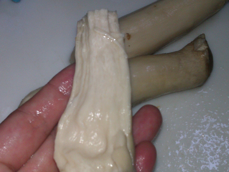 �����ؼ�˿(�ӱ���)������