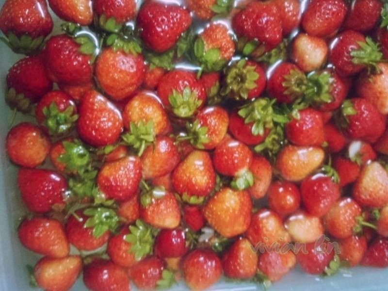 ����~��ݮ����������