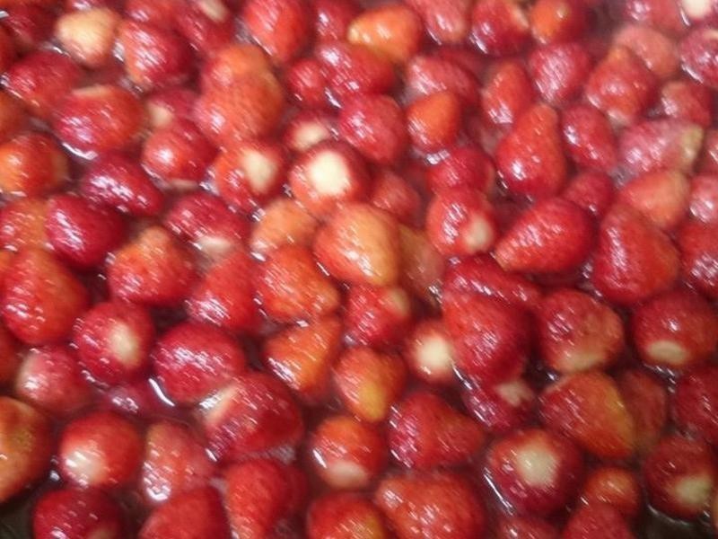 ����~��ݮ����������