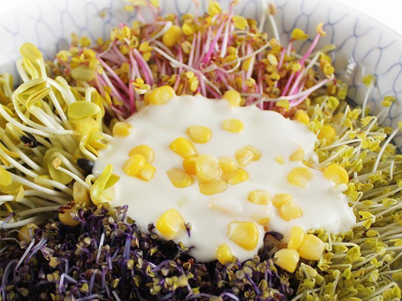 �ۺ�ѿ������ɳ��������